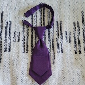 Womens Elegant Purple Necktie